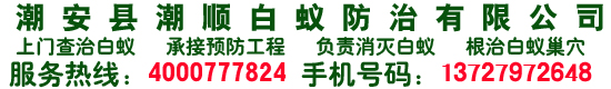 潮州白蚁防治,潮州白蚁灭治,潮州装修防白蚁,潮州杀虫灭鼠,潮州灭蟑螂臭虫,潮州除四害-广东省潮州市潮安县潮顺白蚁害防治有限公司